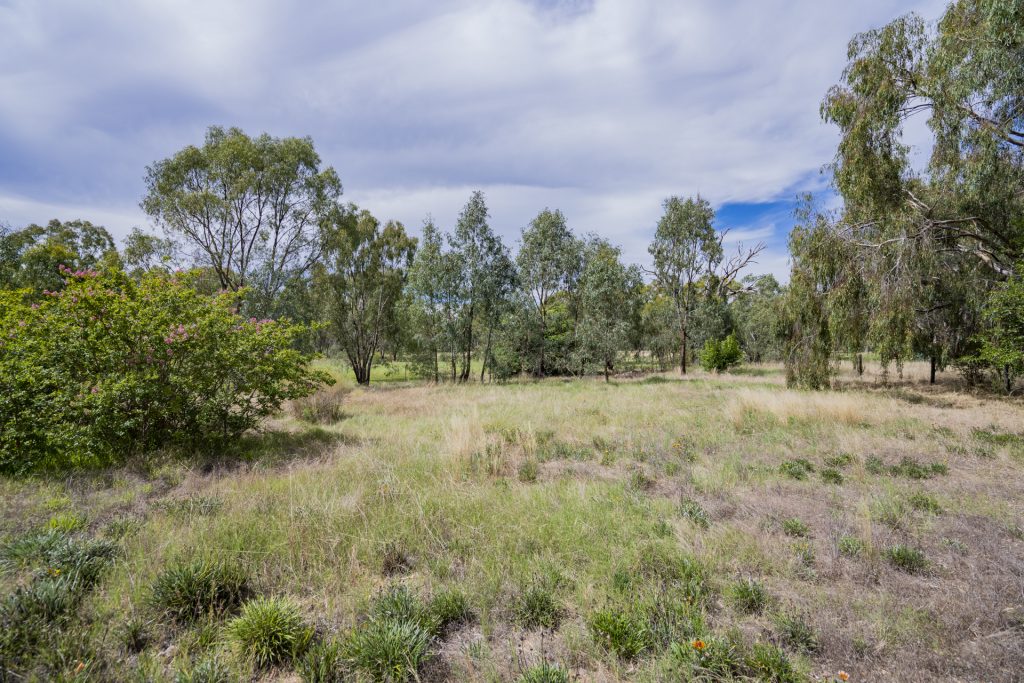 2-4 Hankinson Street, Narrandera NSW 2700 - photo 5