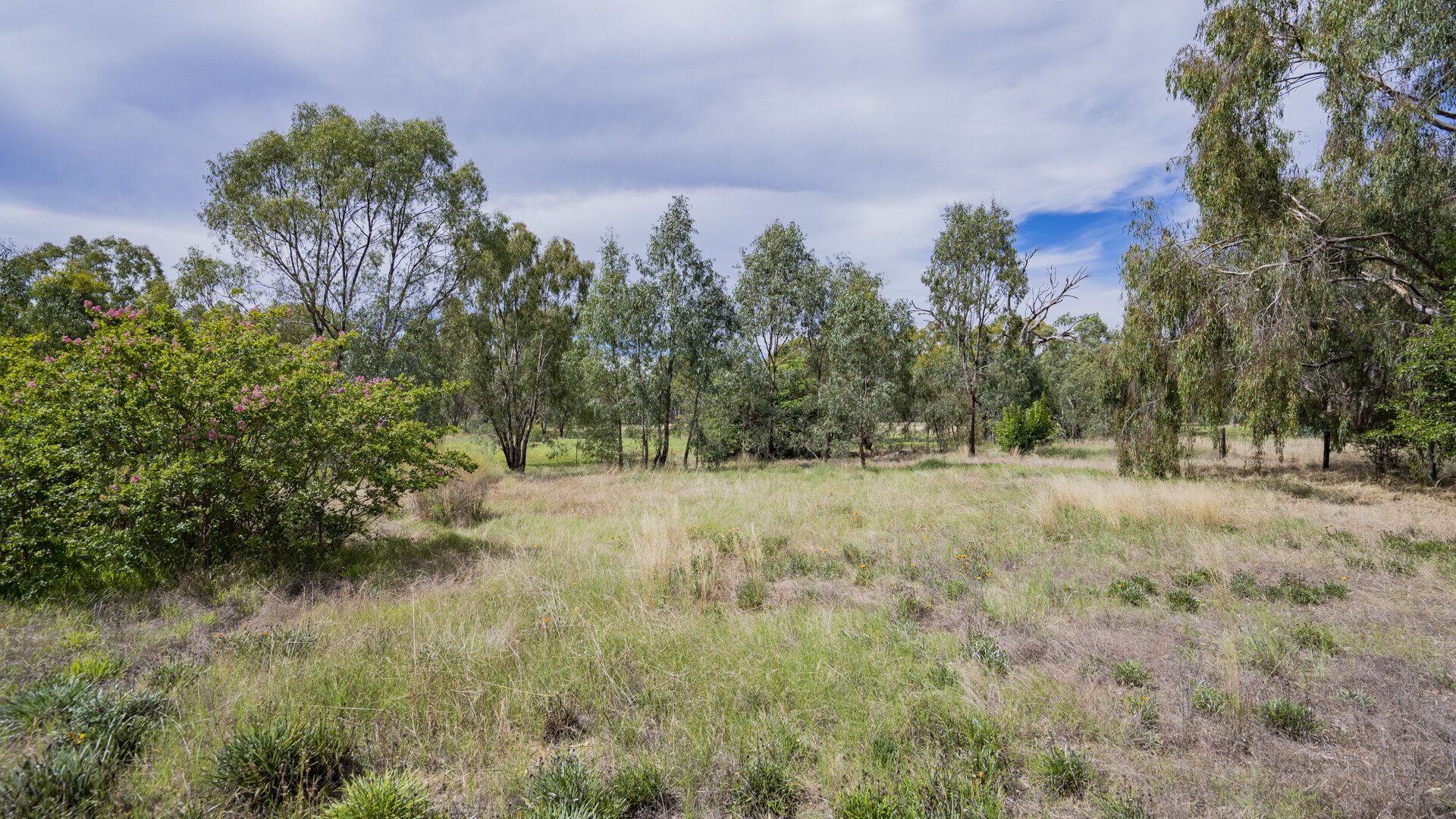 2-4 Hankinson Street, Narrandera NSW 2700 - photo 5