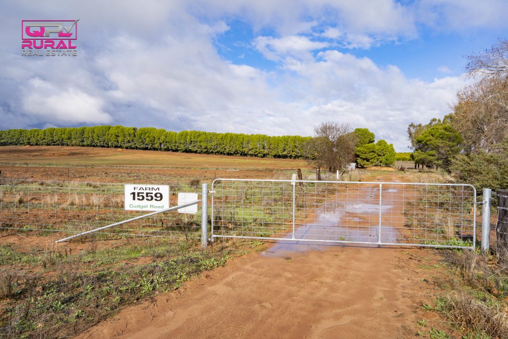 1559 Cudgel Road, Leeton NSW 2705 - photo 2