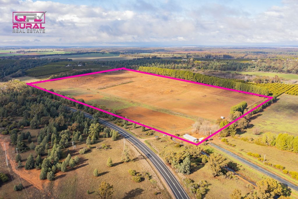 1559 Cudgel Road, Leeton NSW 2705 - McGrath Riverina