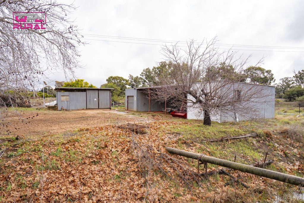 1559 Cudgel Road, Leeton NSW 2705 - photo 4
