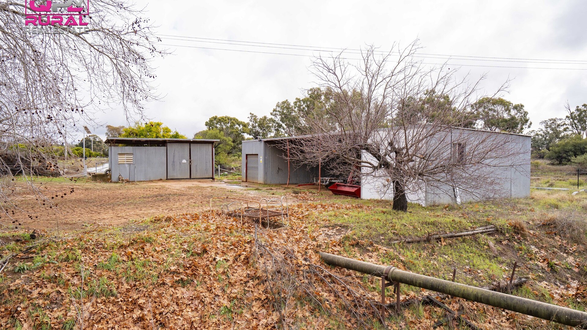 1559 Cudgel Road, Leeton NSW 2705 - photo 4