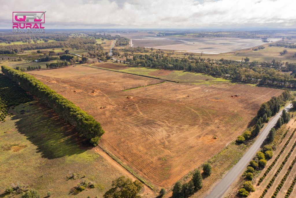 1559 Cudgel Road, Leeton NSW 2705 - photo 6
