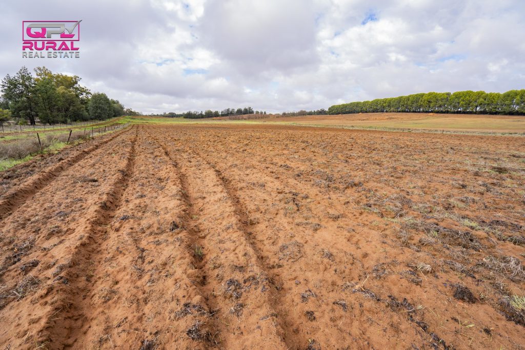 1559 Cudgel Road, Leeton NSW 2705 - photo 7