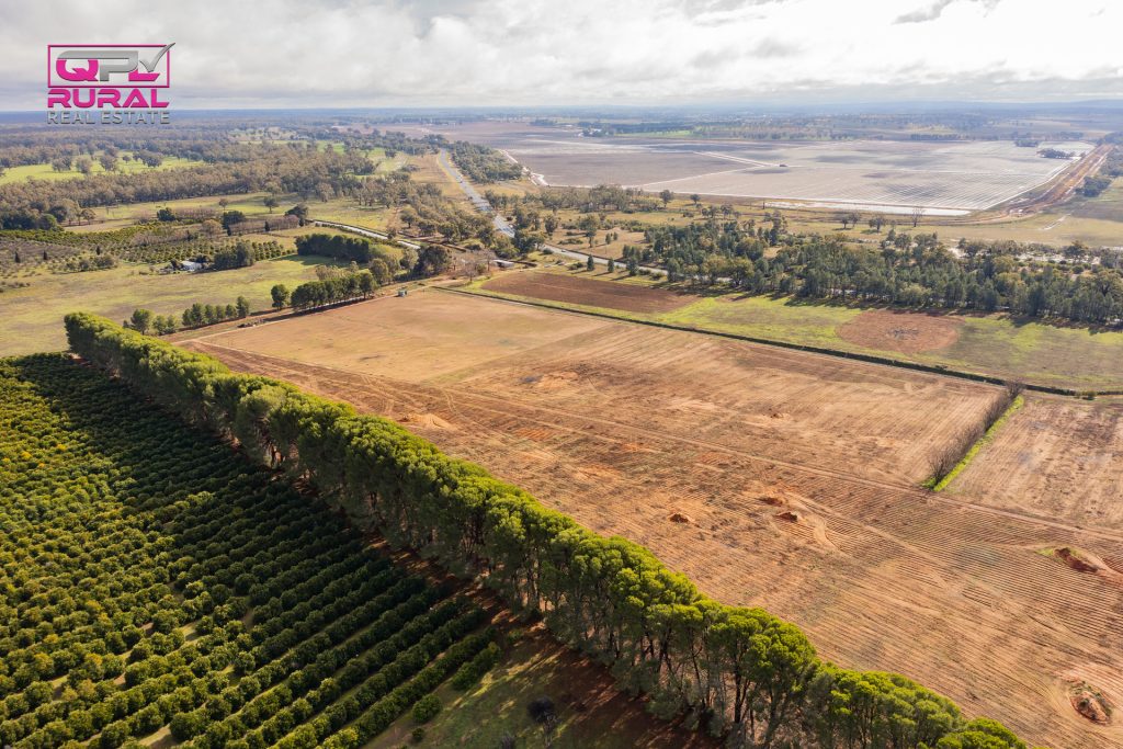 1559 Cudgel Road, Leeton NSW 2705 - photo 8