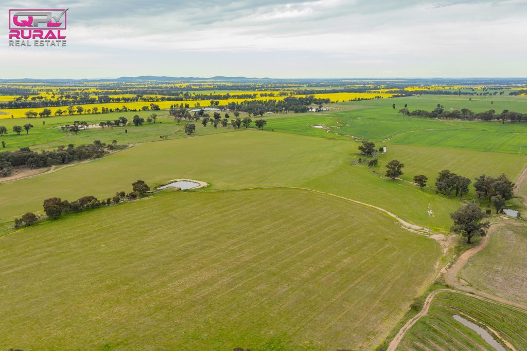 2/272 Glynburn Road, Temora NSW 2666 - photo 2