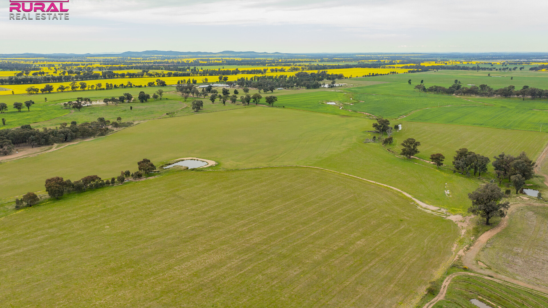 2/272 Glynburn Road, Temora NSW 2666 - photo 2
