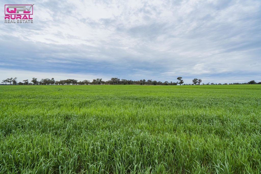 2/272 Glynburn Road, Temora NSW 2666 - McGrath Riverina