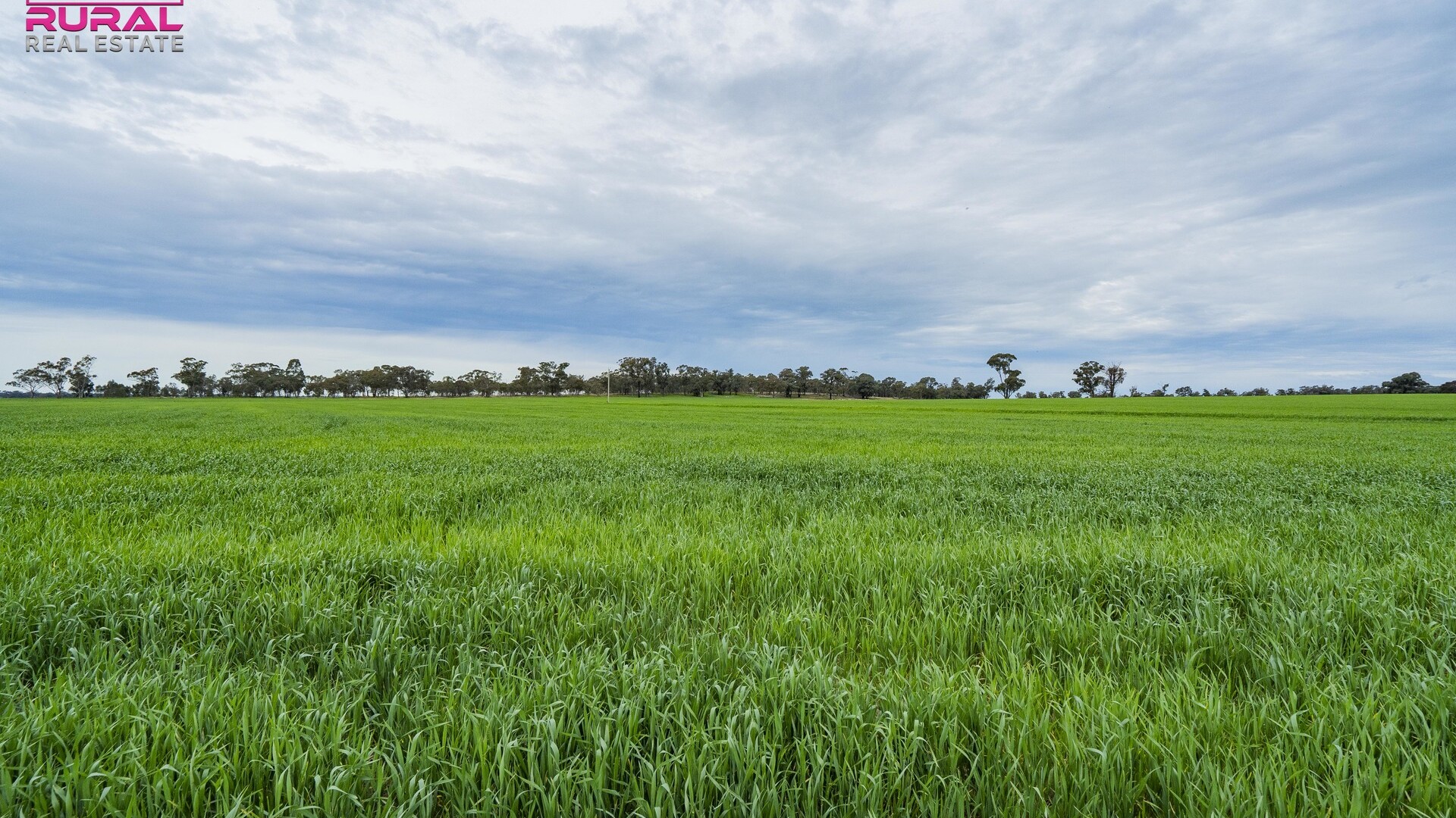 2/272 Glynburn Road, Temora NSW 2666 - McGrath Riverina