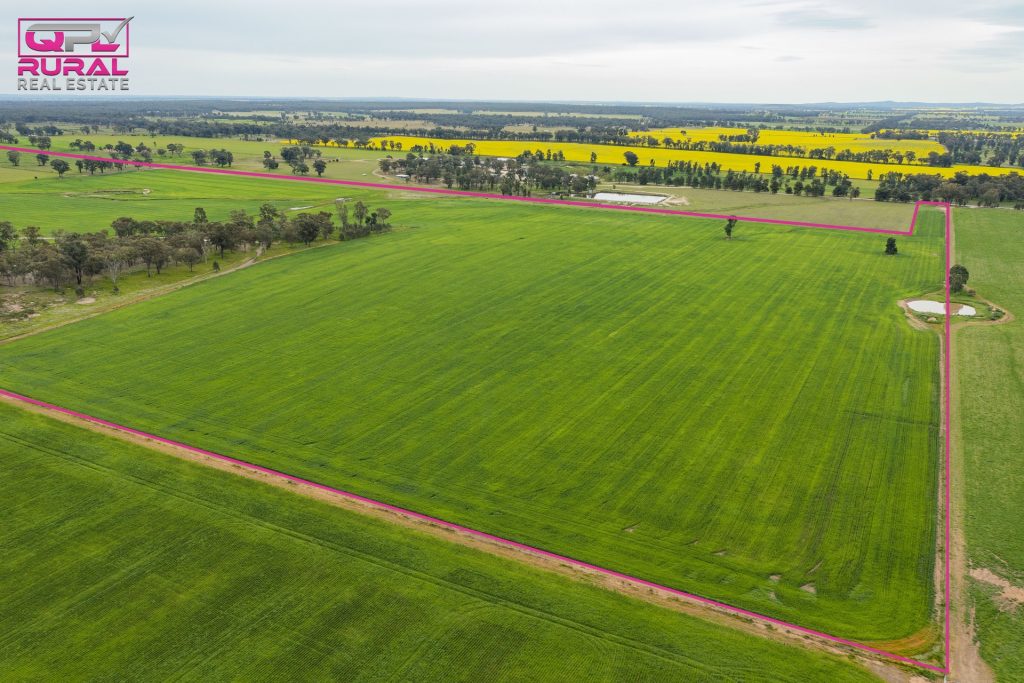 2/272 Glynburn Road, Temora NSW 2666 - photo 3