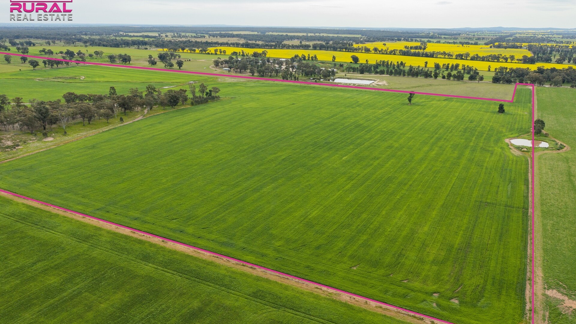 2/272 Glynburn Road, Temora NSW 2666 - photo 3
