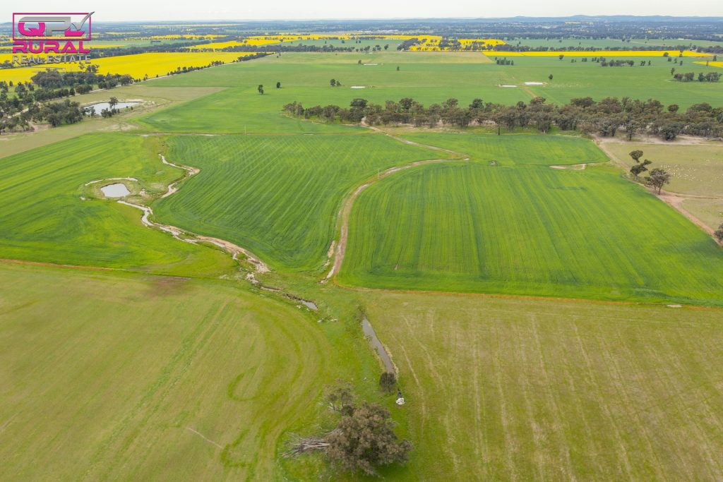 2/272 Glynburn Road, Temora NSW 2666 - photo 4
