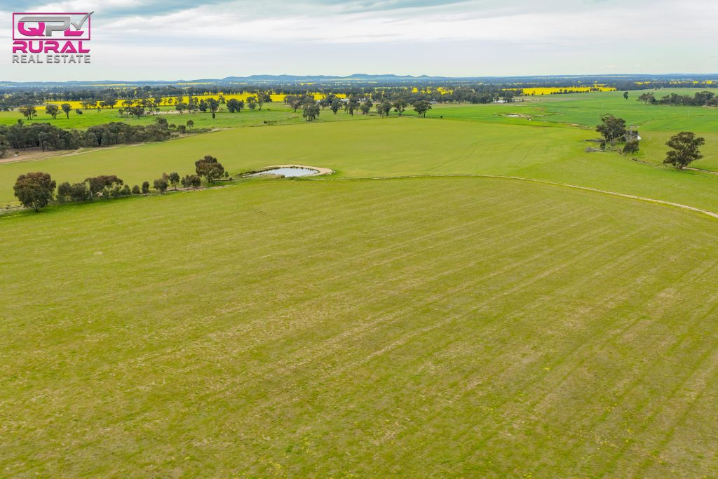2/272 Glynburn Road, Temora NSW 2666 - photo 5