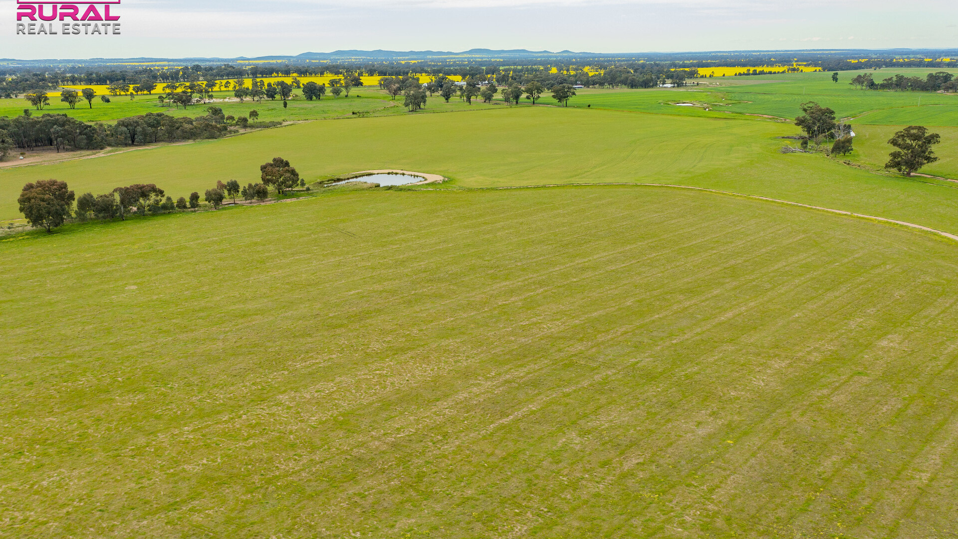 2/272 Glynburn Road, Temora NSW 2666 - photo 5