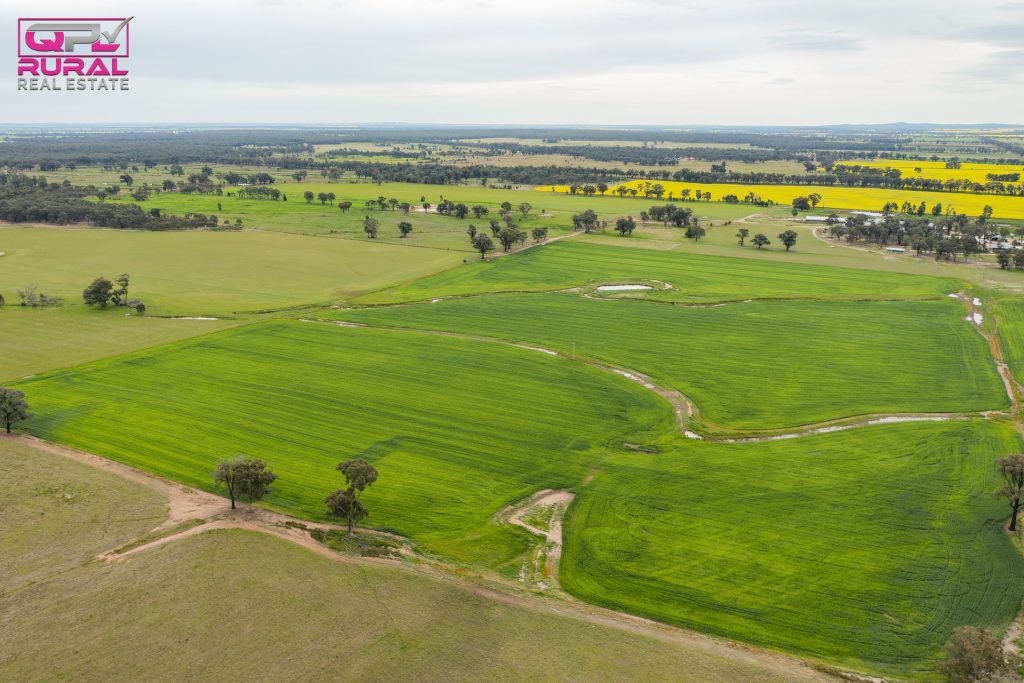 2/272 Glynburn Road, Temora NSW 2666 - photo 6