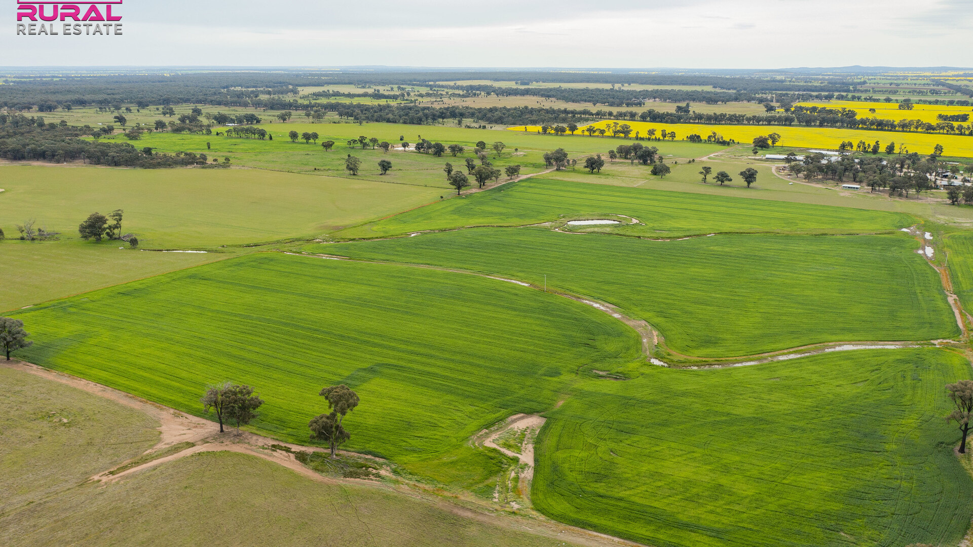 2/272 Glynburn Road, Temora NSW 2666 - photo 6