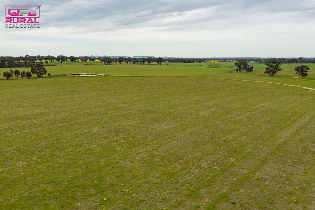 2/272 Glynburn Road, Temora NSW 2666 - photo 7