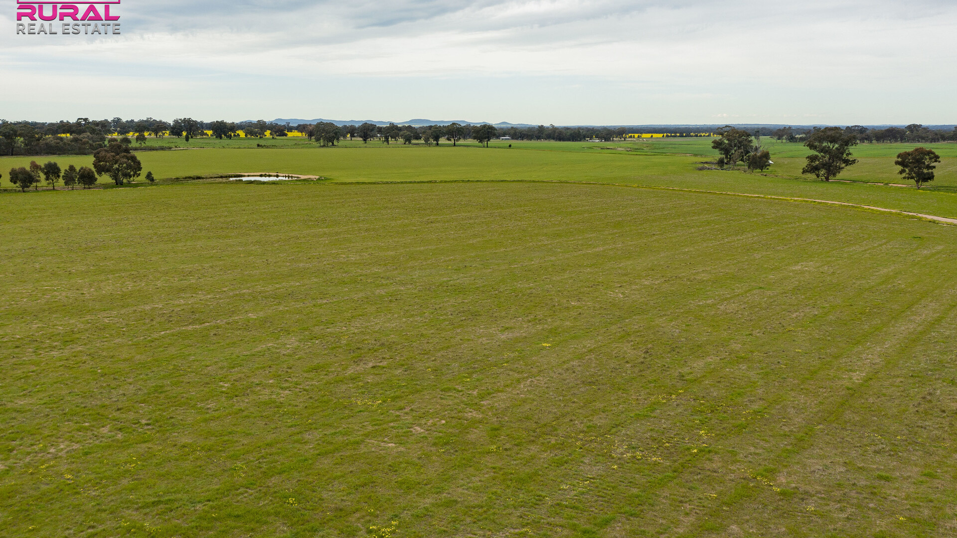 2/272 Glynburn Road, Temora NSW 2666 - photo 7