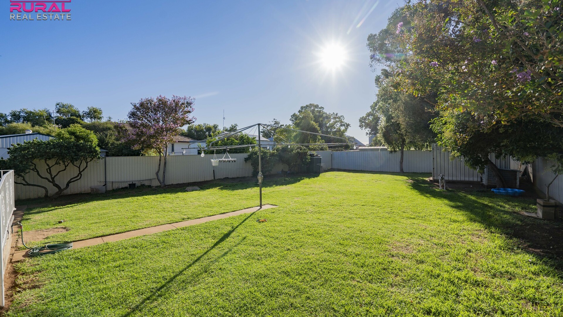 3 Elizabeth Street, Narrandera NSW 2700 - photo 8