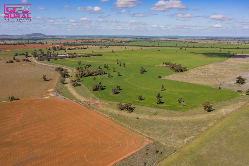 586 South Yalgogrin Road, Barellan NSW 2665 - photo 11
