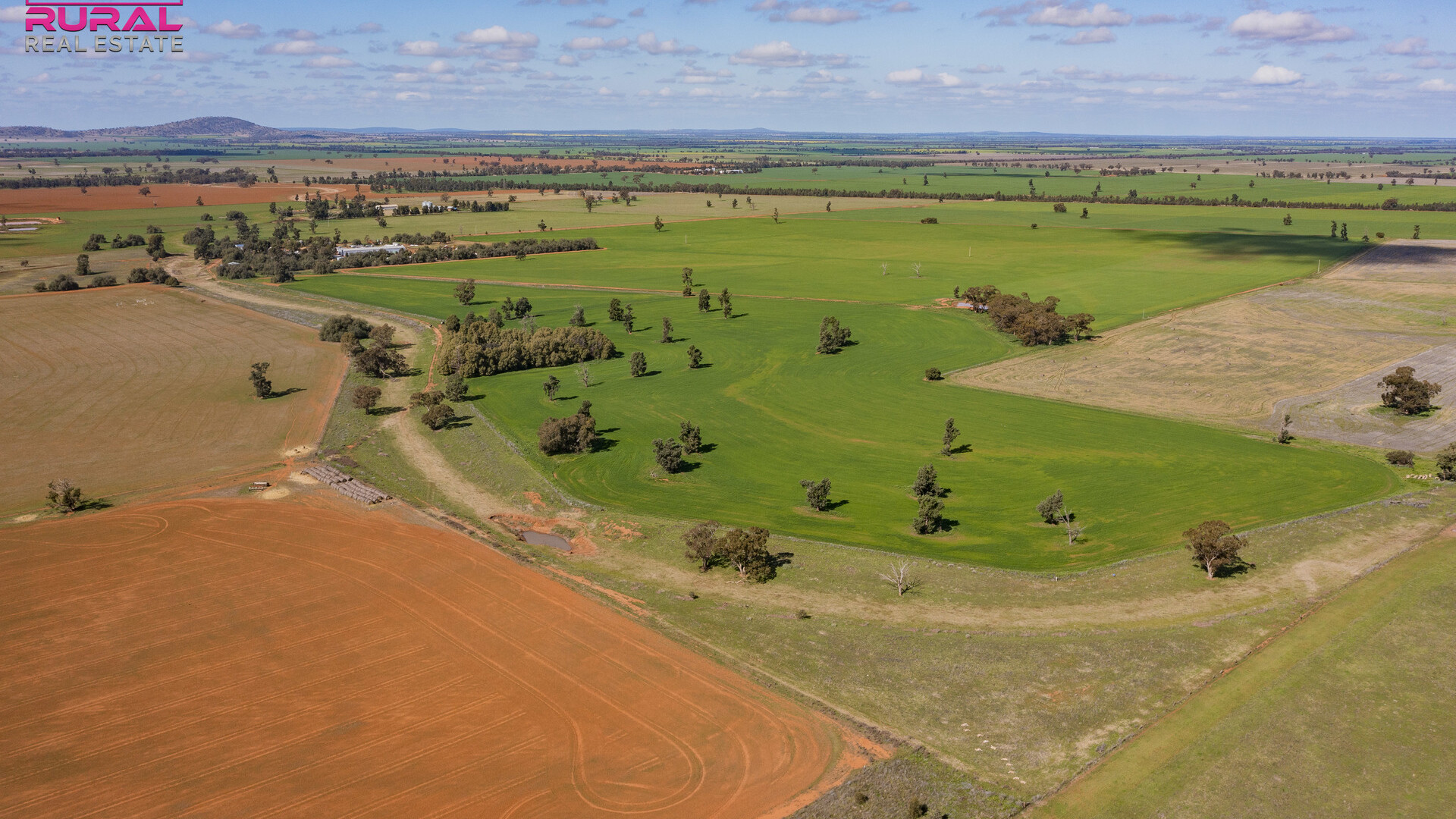 586 South Yalgogrin Road, Barellan NSW 2665 - photo 11