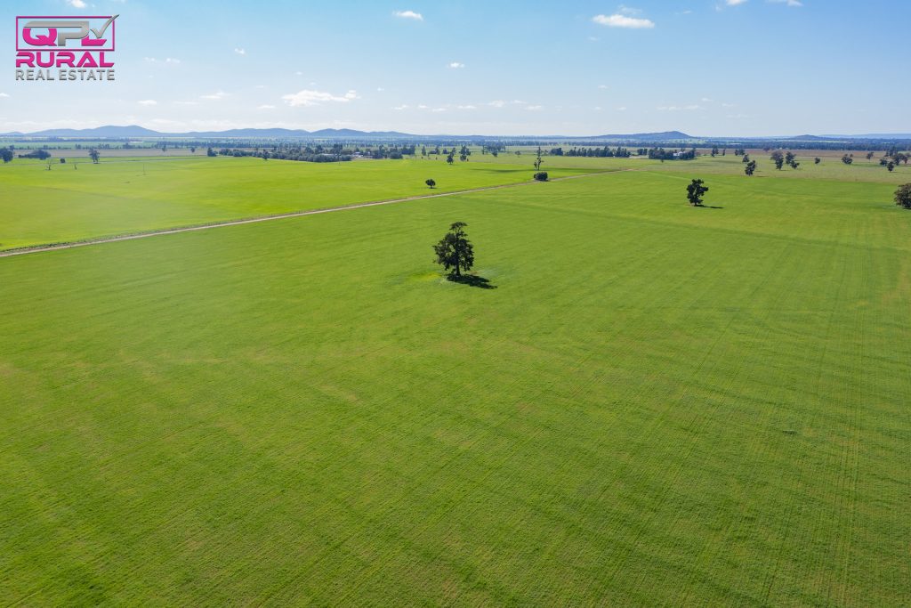 586 South Yalgogrin Road, Barellan NSW 2665 - McGrath Riverina