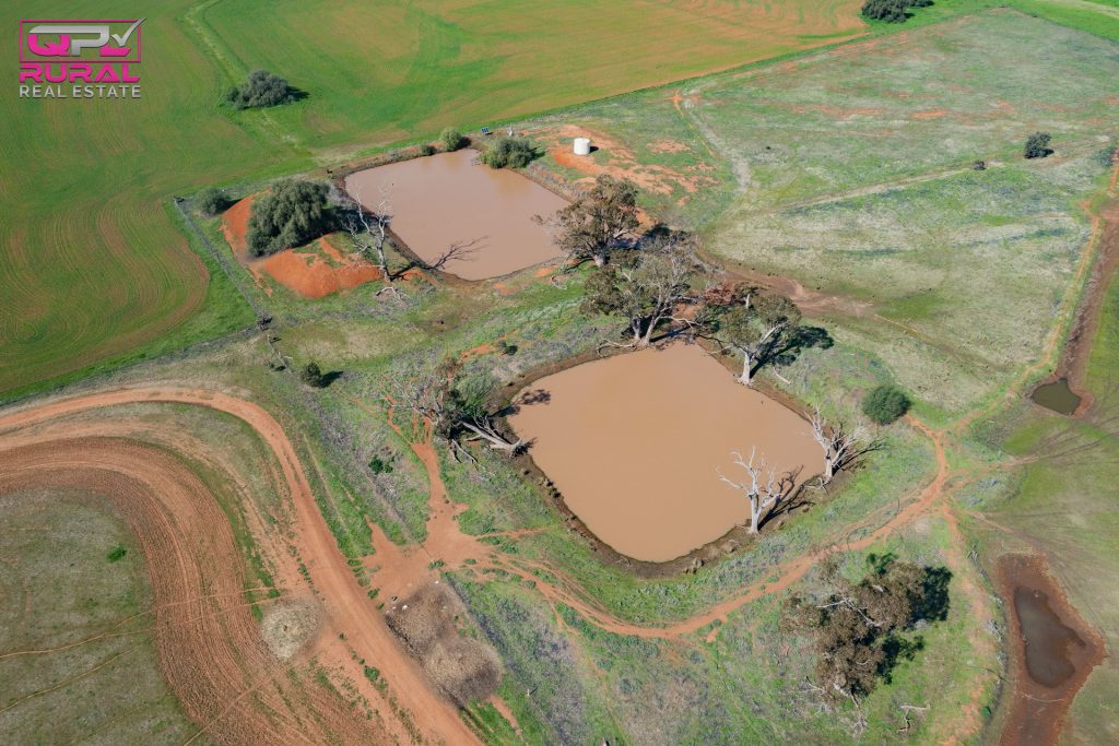 586 South Yalgogrin Road, Barellan NSW 2665 - photo 12