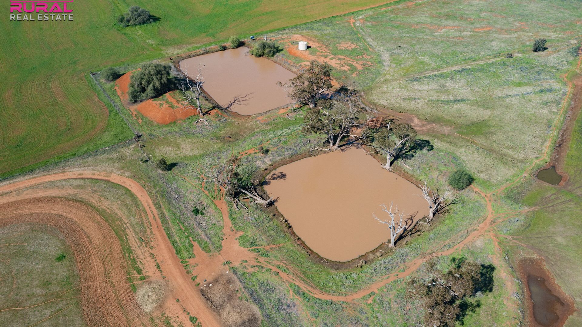 586 South Yalgogrin Road, Barellan NSW 2665 - photo 12