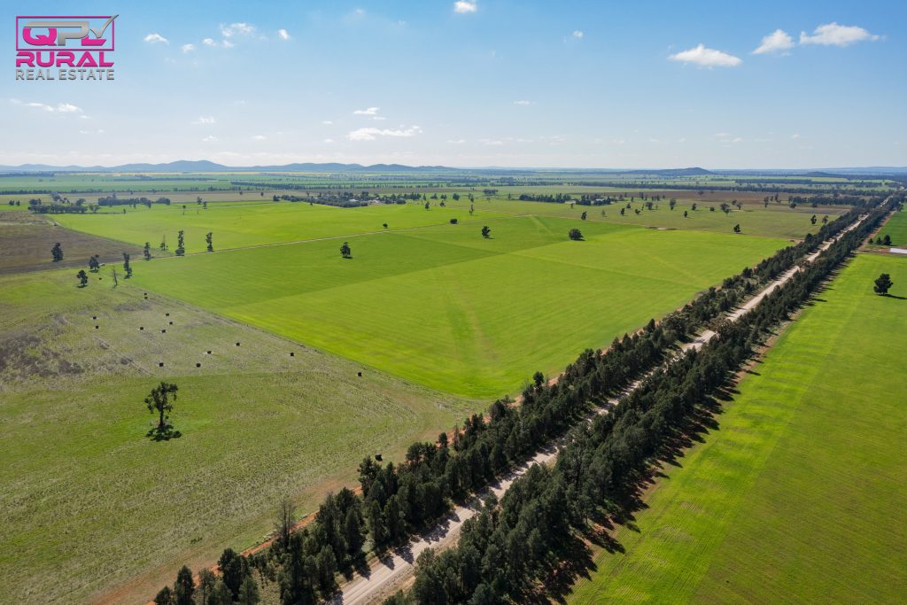 586 South Yalgogrin Road, Barellan NSW 2665 - photo 13
