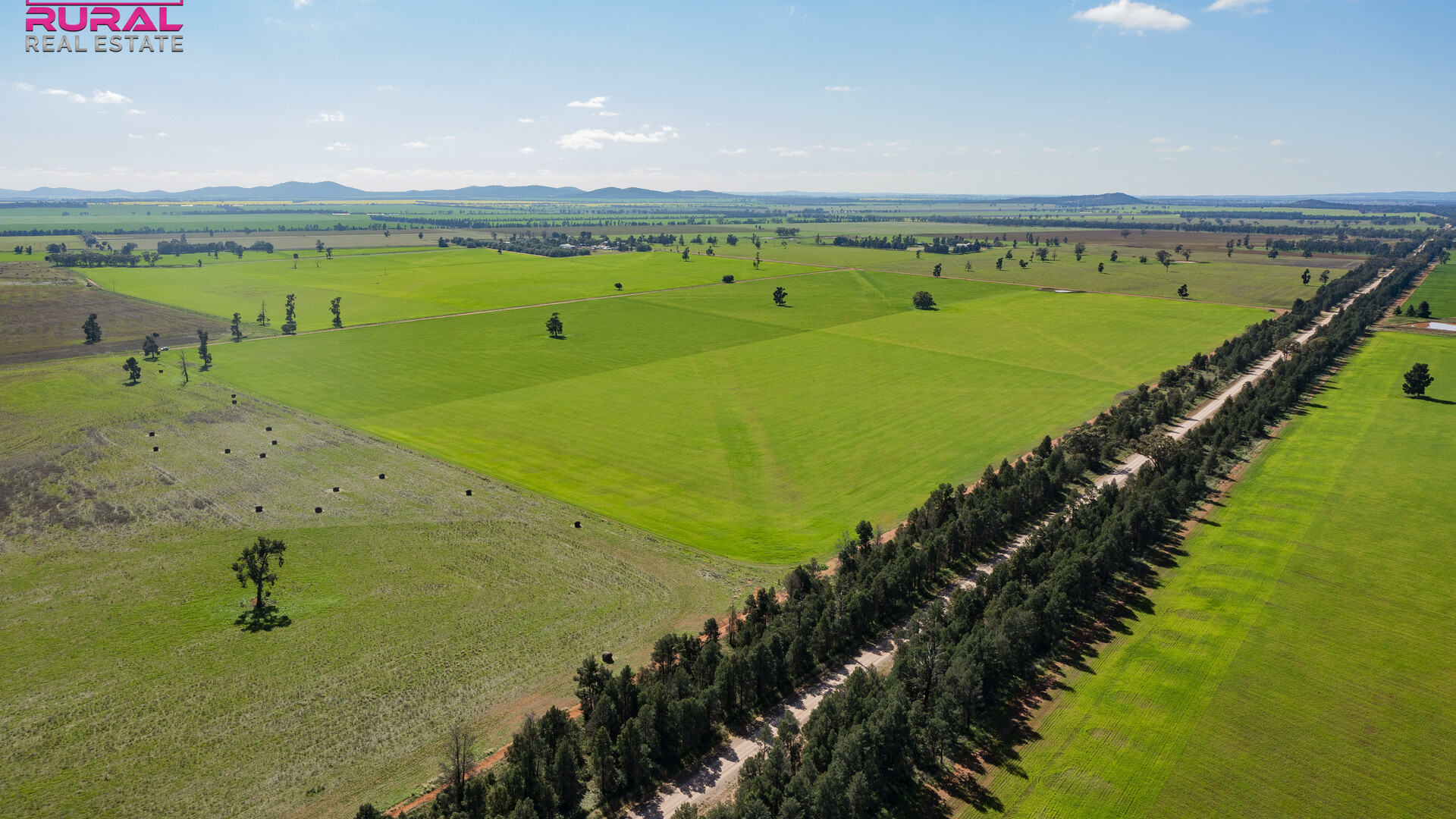 586 South Yalgogrin Road, Barellan NSW 2665 - photo 13