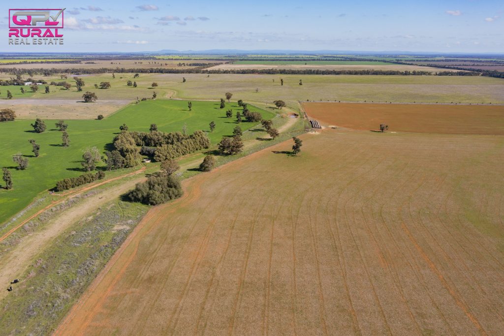 586 South Yalgogrin Road, Barellan NSW 2665 - photo 14