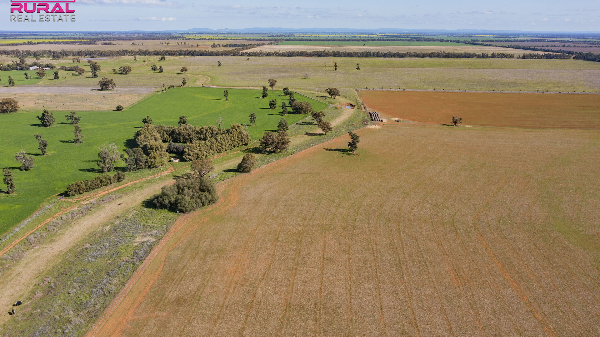 586 South Yalgogrin Road, Barellan NSW 2665 - photo 14