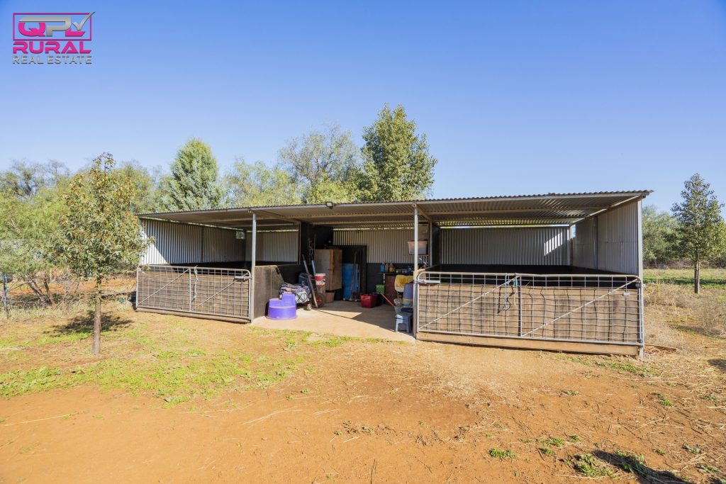 586 South Yalgogrin Road, Barellan NSW 2665 - photo 16