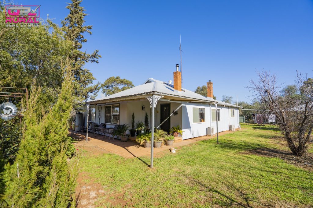 586 South Yalgogrin Road, Barellan NSW 2665 - photo 19