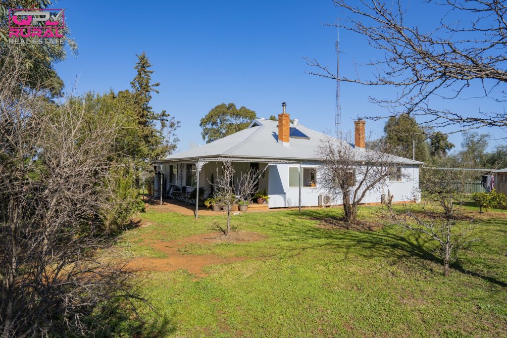 586 South Yalgogrin Road, Barellan NSW 2665 - photo 27