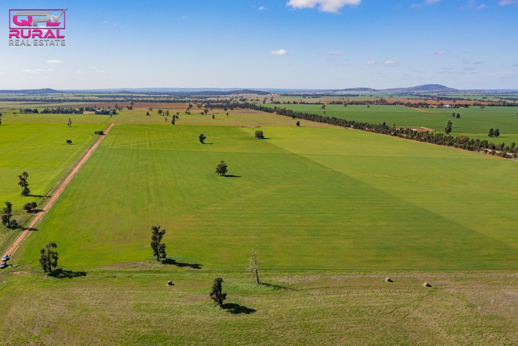 586 South Yalgogrin Road, Barellan NSW 2665 - photo 29