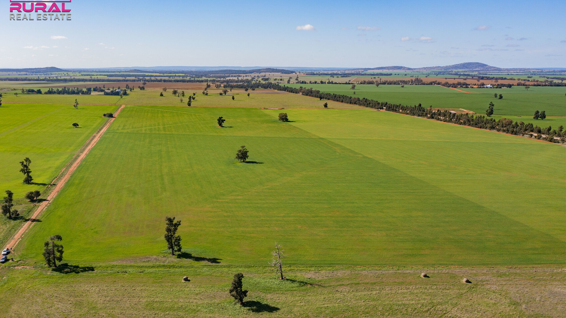 586 South Yalgogrin Road, Barellan NSW 2665 - photo 29