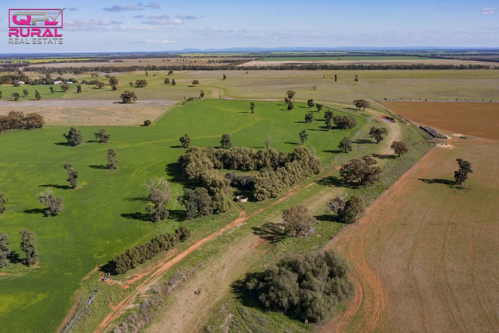 586 South Yalgogrin Road, Barellan NSW 2665 - photo 4