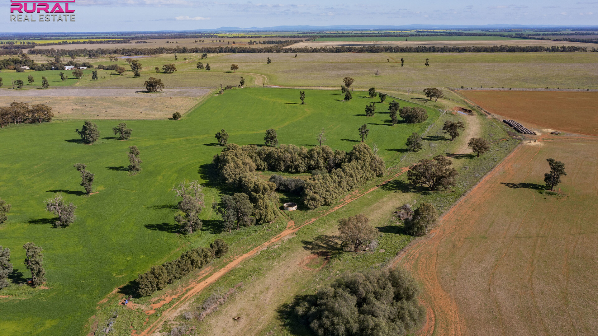 586 South Yalgogrin Road, Barellan NSW 2665 - photo 4