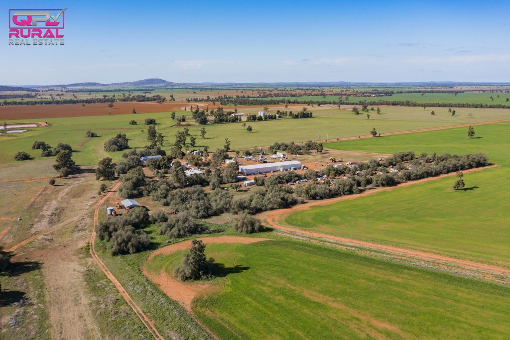586 South Yalgogrin Road, Barellan NSW 2665 - photo 10