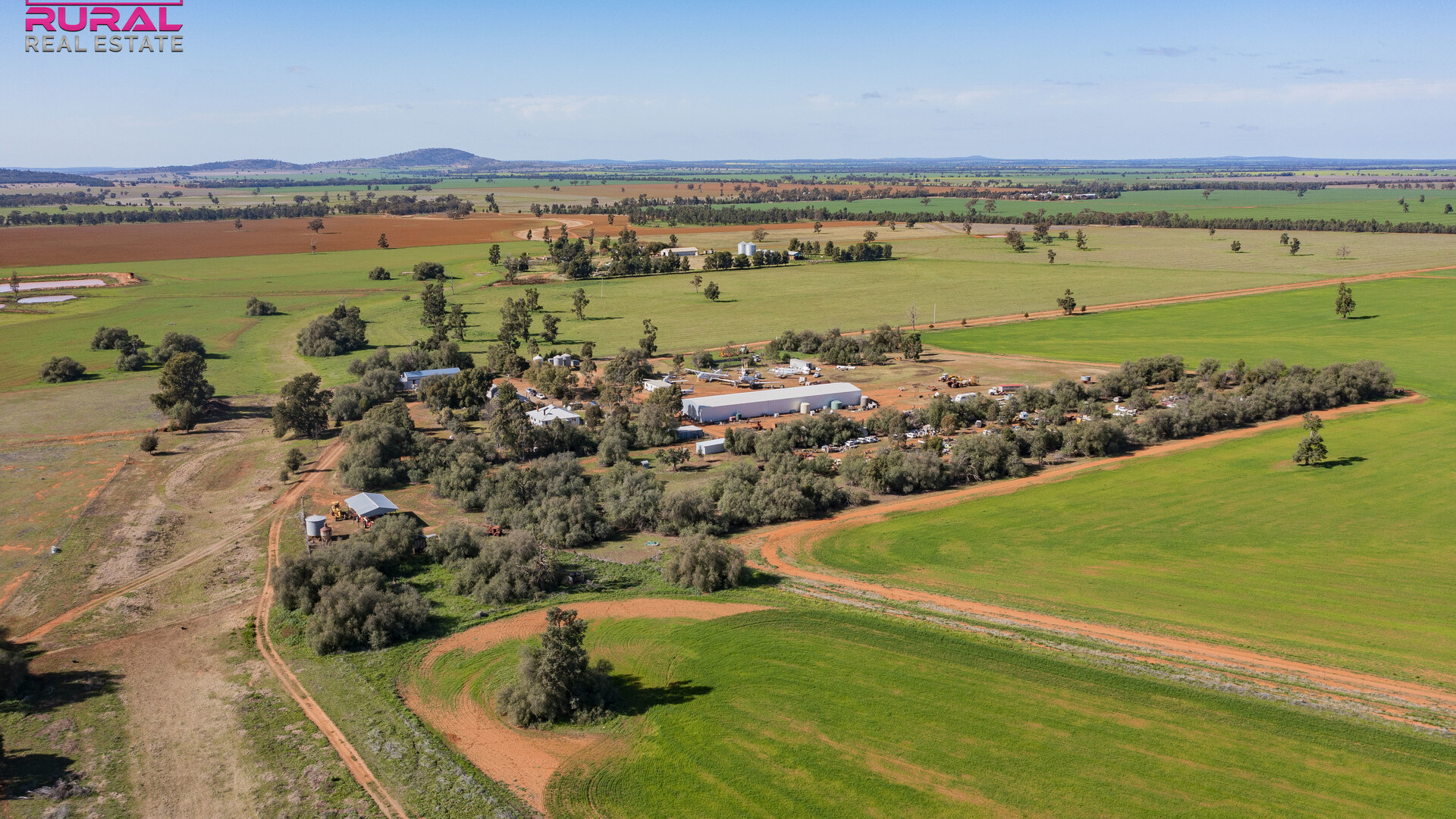 586 South Yalgogrin Road, Barellan NSW 2665 - photo 10