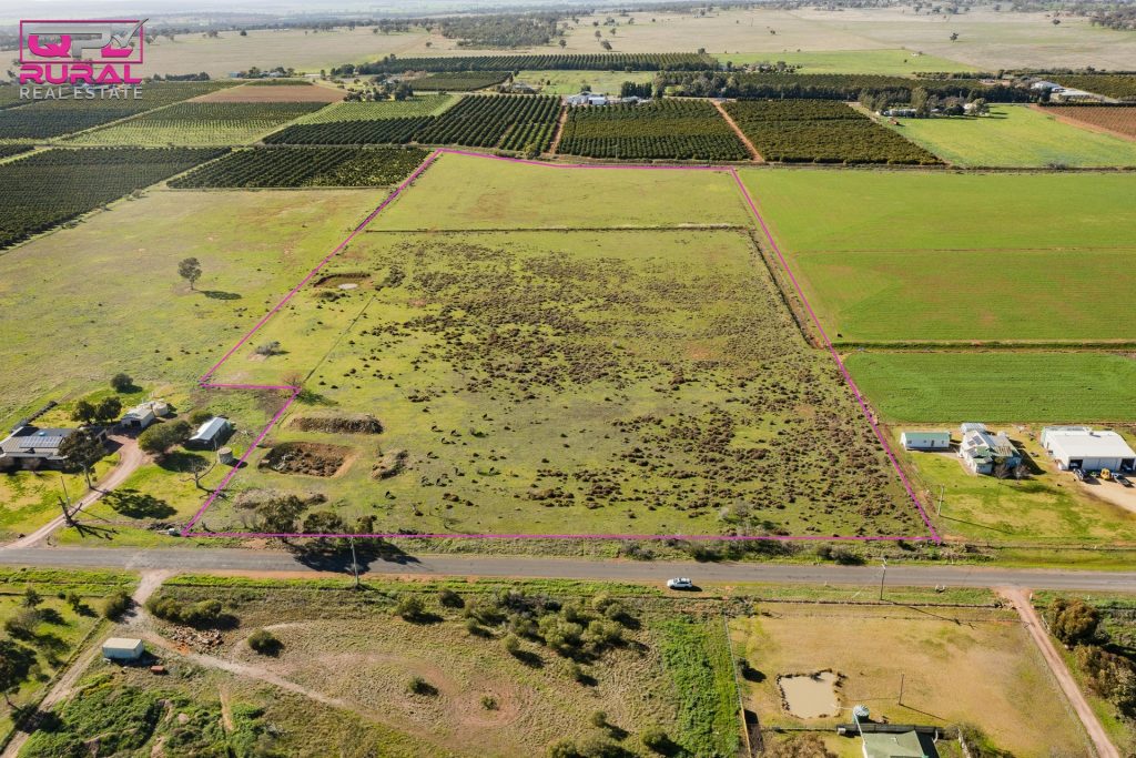 125 Canal Road, Leeton NSW 2705 - photo 4