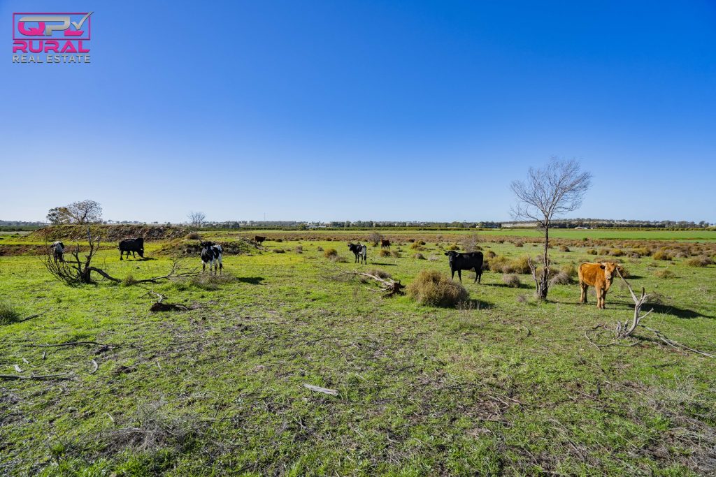 125 Canal Road, Leeton NSW 2705 - photo 6