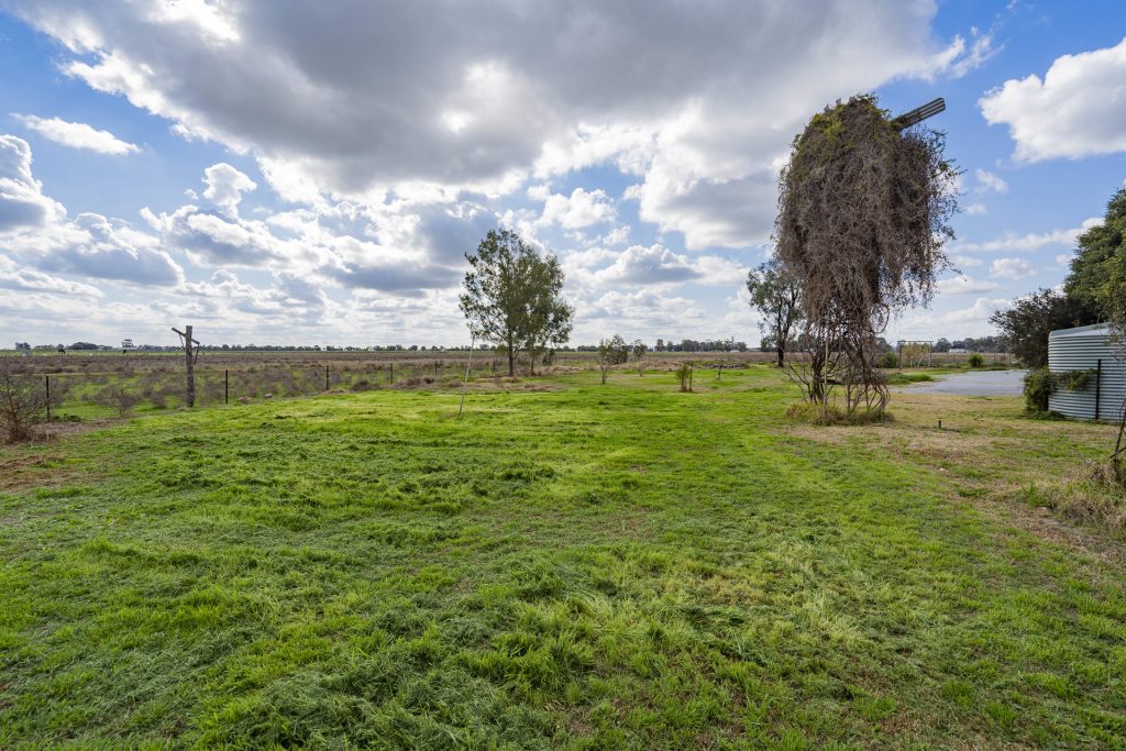 84 Lonnie Road, Leeton NSW 2705 - photo 17