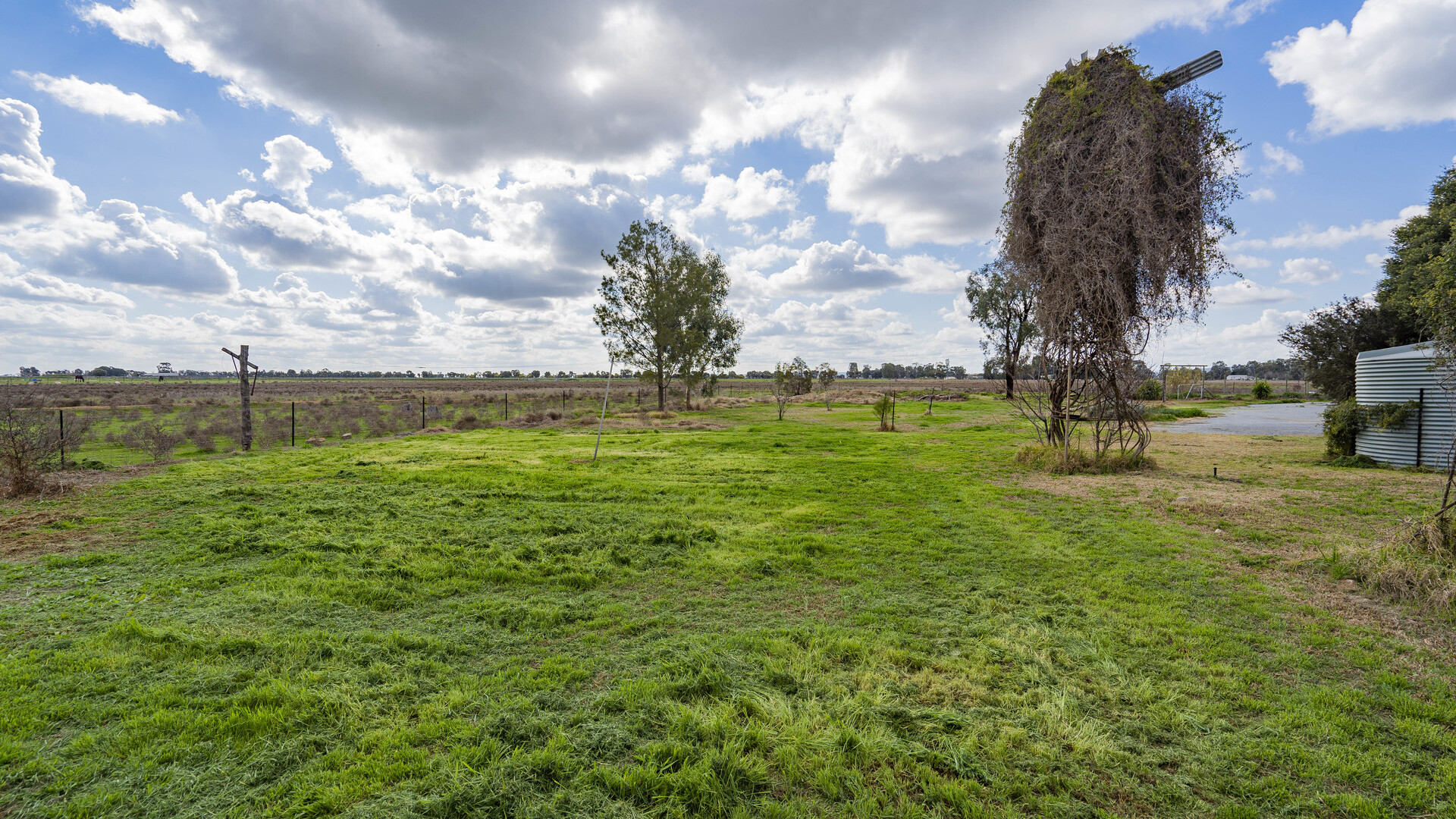 84 Lonnie Road, Leeton NSW 2705 - photo 17
