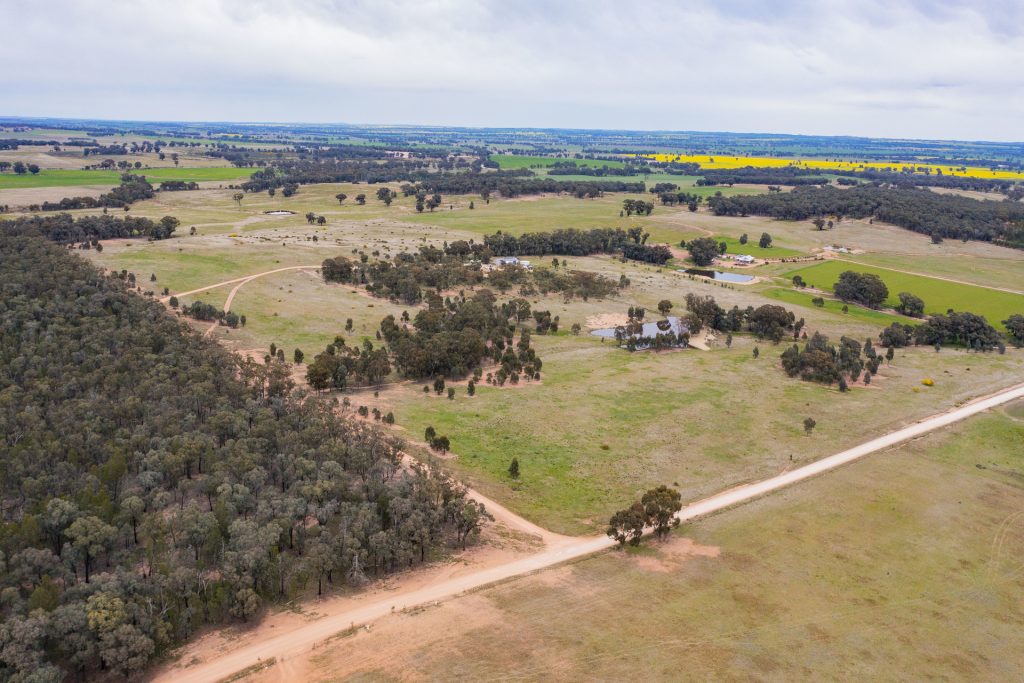 186 Sheriffs Road, Temora NSW 2666 - photo 2