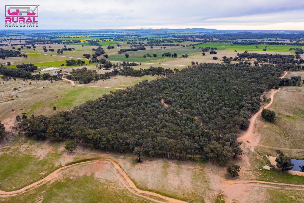 186 Sheriffs Road, Temora NSW 2666 - photo 11