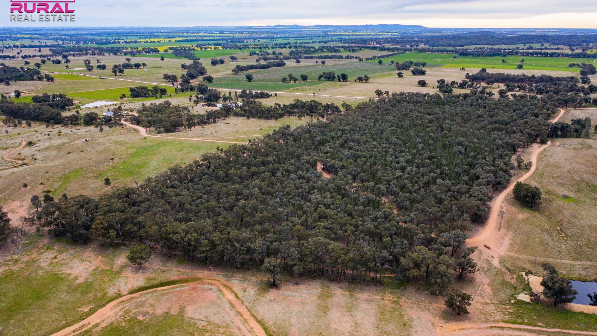 186 Sheriffs Road, Temora NSW 2666 - photo 11