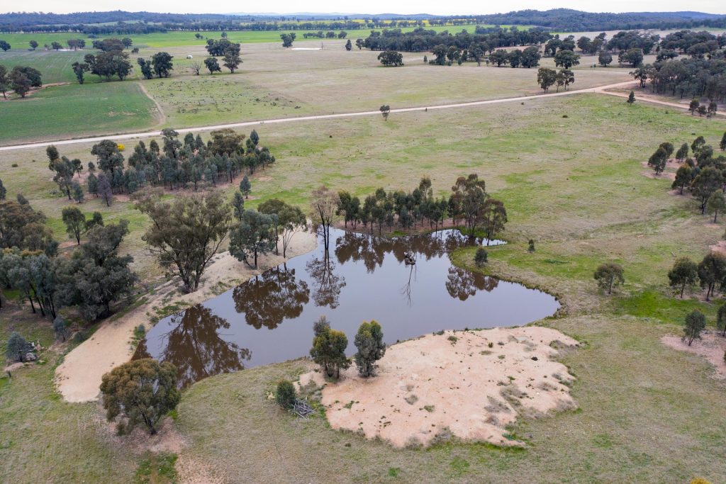 186 Sheriffs Road, Temora NSW 2666 - McGrath Riverina