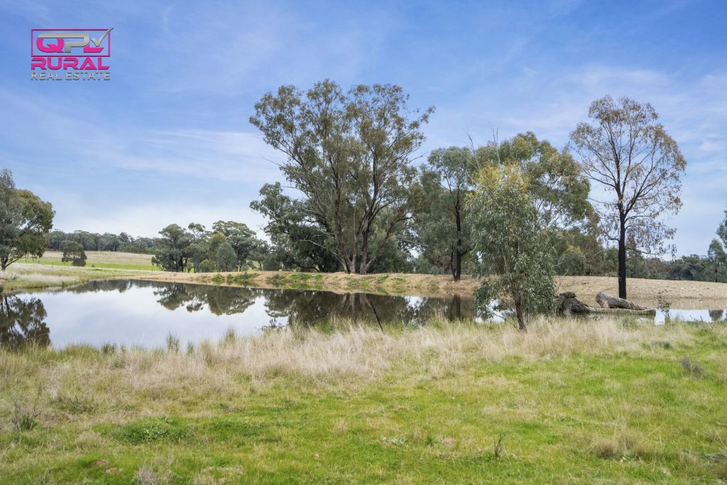 186 Sheriffs Road, Temora NSW 2666 - photo 12